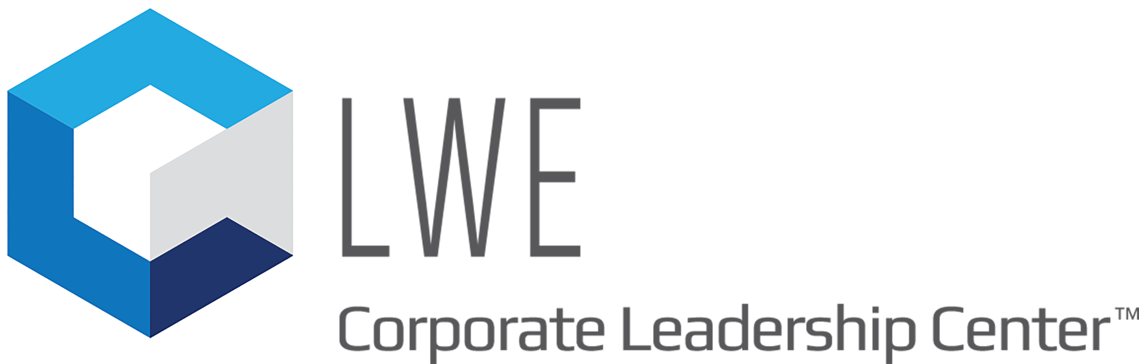 TALL-LWE initial only Logo ColorCube GrayType with TM (1)